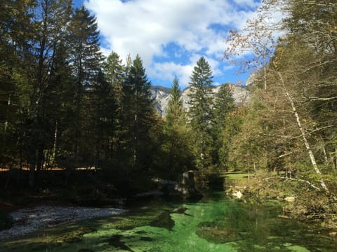 Natural landscape, Other, Hiking