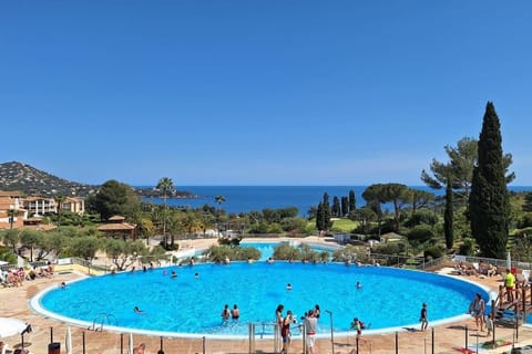 Beach, Pool view, Sea view