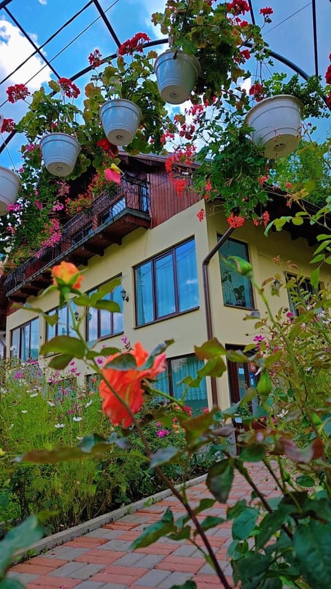 Property building, Garden