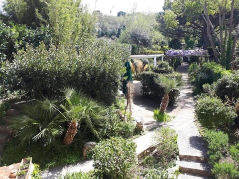 Property building, Garden view