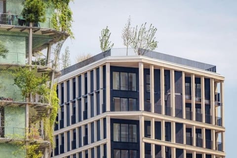 Property building, Spring, Day