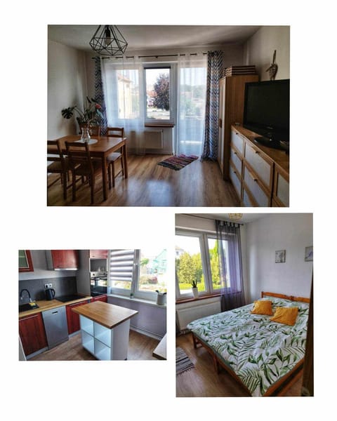 Communal lounge/ TV room, Bed, TV and multimedia, Living room, Food and drinks, Photo of the whole room, Seating area, Dining area, Evening entertainment