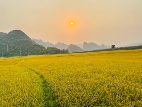 Mountain view, Sunrise, Sunset