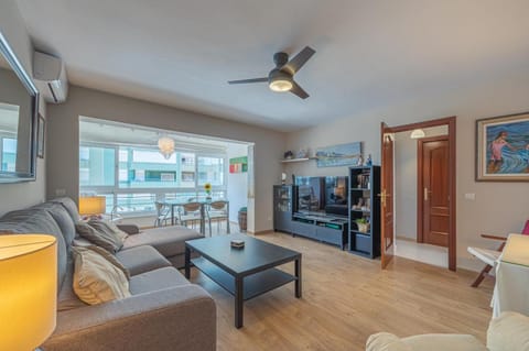 Communal lounge/ TV room, TV and multimedia, Balcony/Terrace, Living room, Seating area, Dining area, fireplace, air conditioner