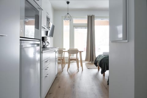 Studio Brita Apartment in Helsinki