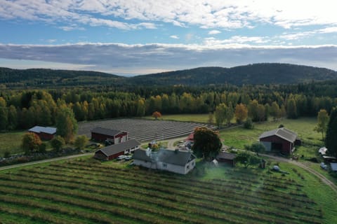 Natural landscape, Bird's eye view, Mountain view