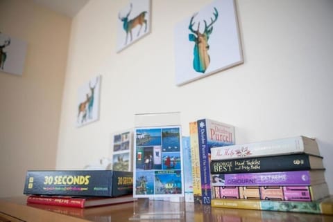 City Centre Gem Apartment in Galway