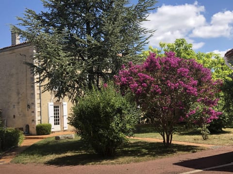 Garden, Garden view