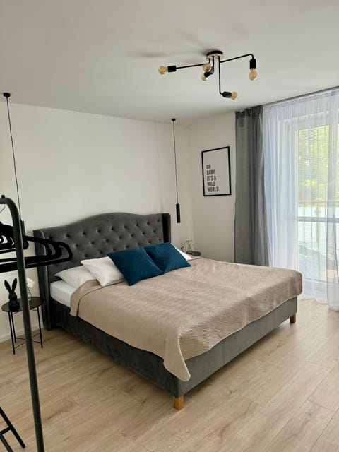 Bed, Living room, Photo of the whole room, Bedroom
