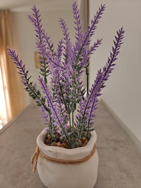 Appartamento donatello Apartment in Imola