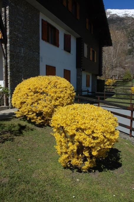 L'escalier Apartment in Morgex