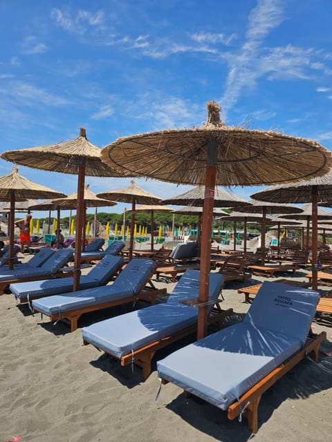 Day, Natural landscape, Beach