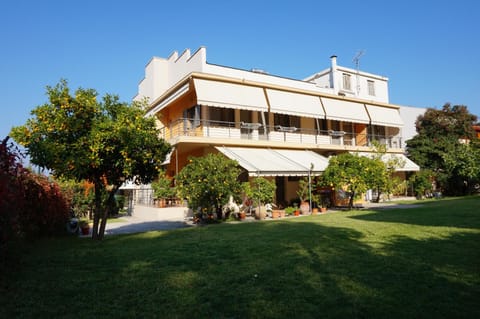 Property building, Day, Garden