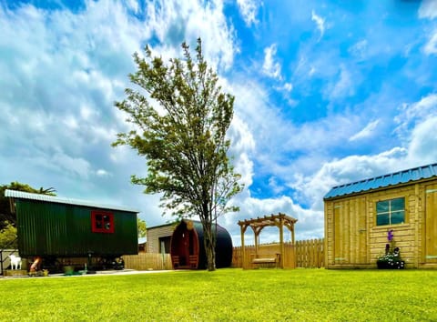 Heather Cottage and Shepherds Hut House in County Mayo