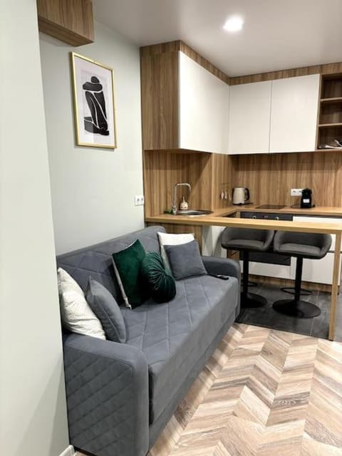 Kitchen or kitchenette, Living room, Seating area, Dining area