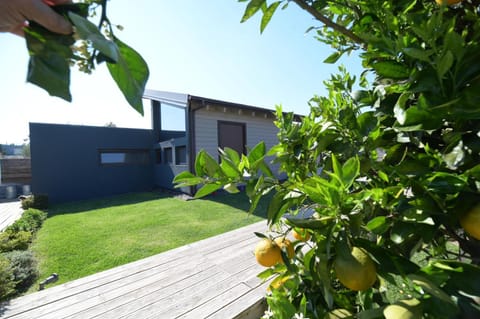 Property building, Garden, Garden