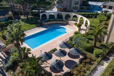 Garden, Garden view, Pool view, Swimming pool, sunbed