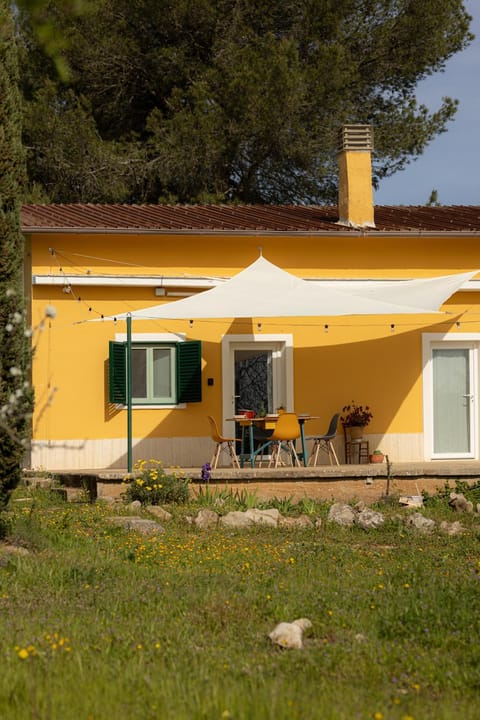 Property building, Garden