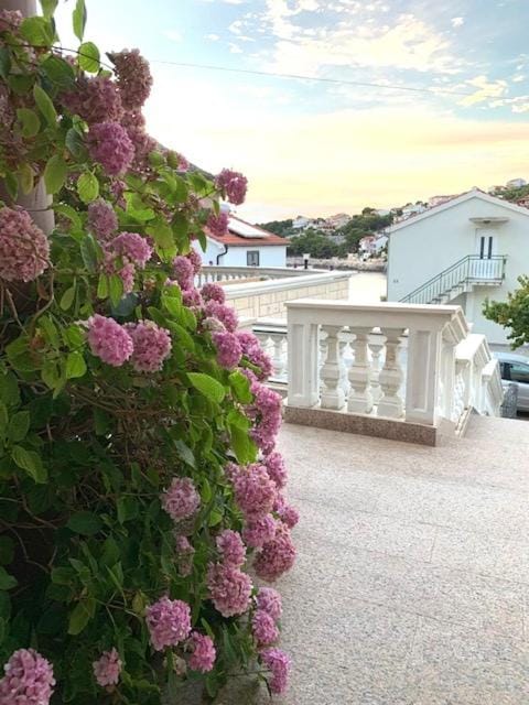 Property building, Day, Natural landscape, Garden, View (from property/room), Garden view