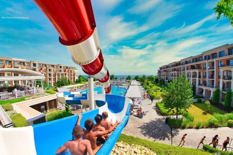 Day, Pool view, Swimming pool