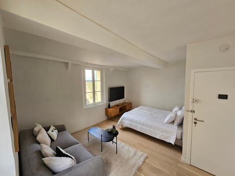 Bed, TV and multimedia, Living room, Photo of the whole room, Seating area, Bedroom