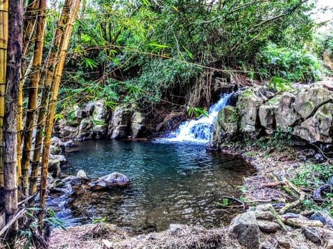 Natural landscape, River view, Swimming pool