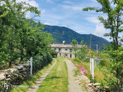 Property building, Garden view