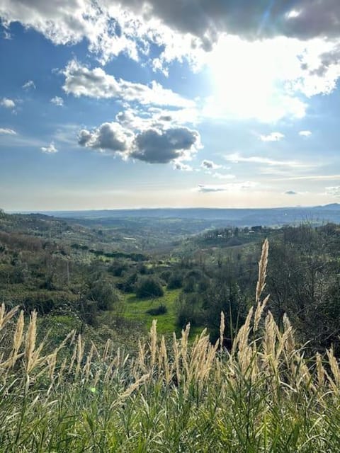Natural landscape