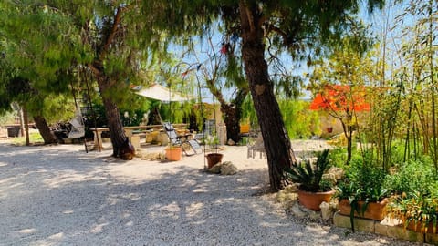 Garden, Garden view