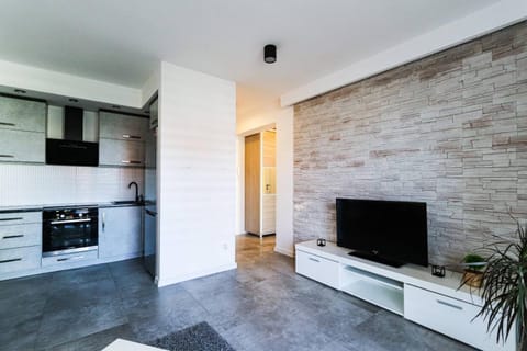 Kameralna Apartment in Lithuania