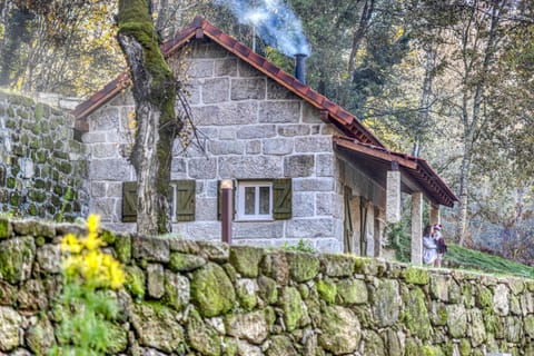 Property building, Natural landscape, Garden view