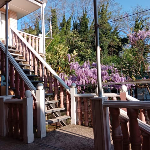 Spring, Day, Garden, Balcony/Terrace, Garden view