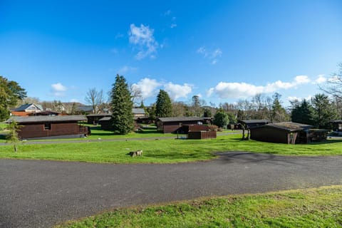 Natural landscape, View (from property/room)