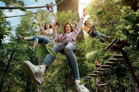 Cosy Chalet Vue & Nature Durbuy Chalet in Wallonia, Belgium