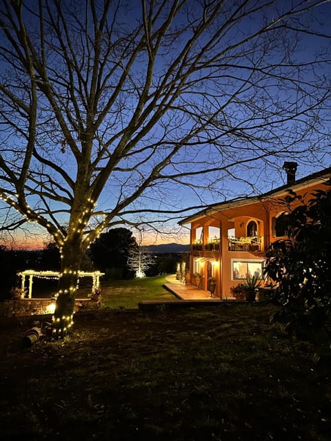 Property building, Spring, Night, Garden, Garden view