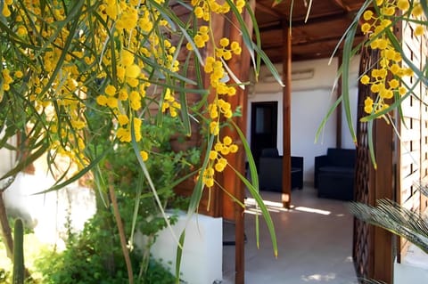 Patio, Balcony/Terrace, Garden view