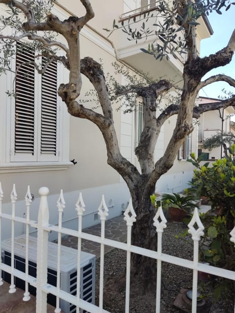 La dimora dei Conti Apartment in Tuscany