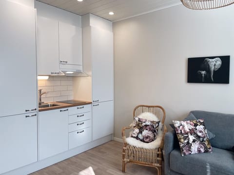 Männikkö Apartment in Finland