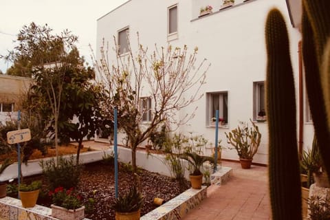 Property building, Garden, Garden view