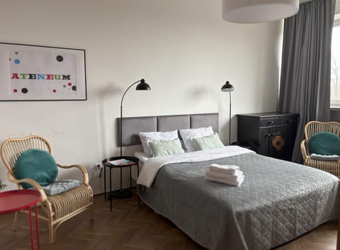 Bed, Living room, Photo of the whole room, Seating area, Bedroom