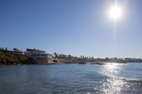 Le Suites sul Mare di Esterina Apartment in Civitavecchia