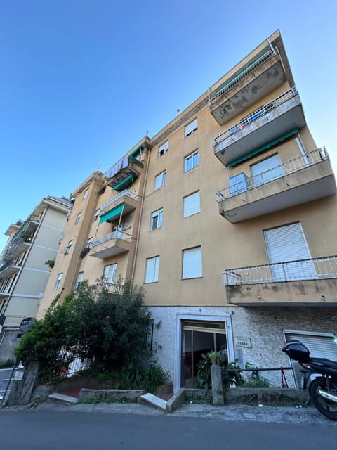 Property building, Day, Neighbourhood, Street view