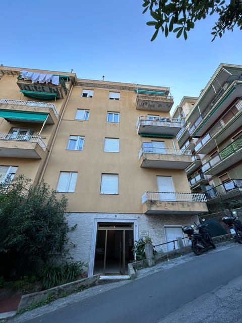 Property building, Day, Neighbourhood, Street view