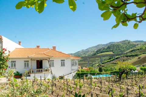 Property building, Garden, Garden view, Family