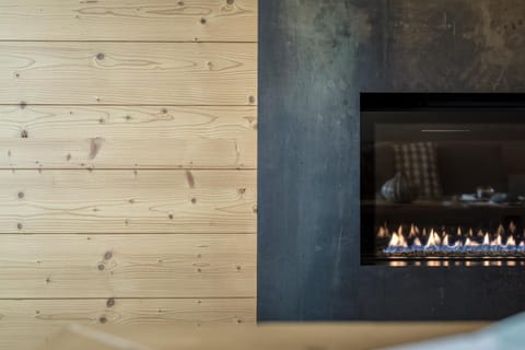 Living room, Bedroom, fireplace, fireplace, VIP