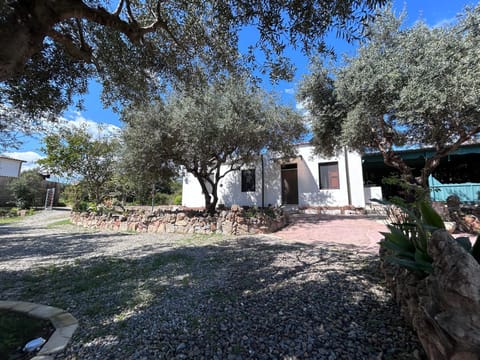 Property building, Spring, Day, Garden, Garden view