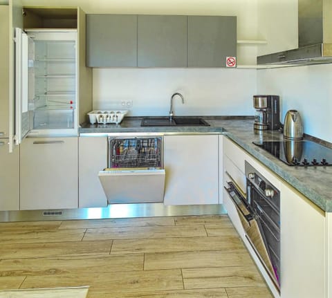 Kitchen or kitchenette, dishwasher, oven, stove