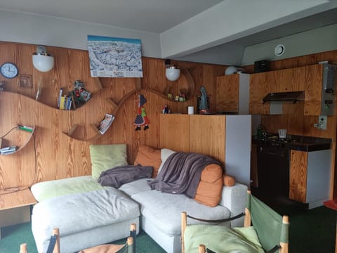 Living room, kitchen