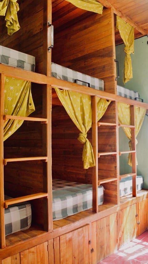 Bed, Decorative detail, Bedroom, bunk bed