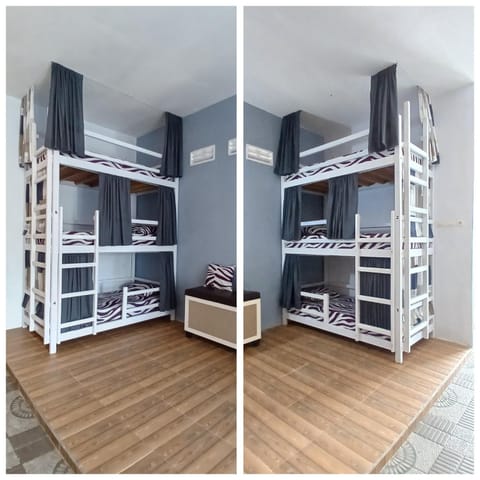 Bed, Photo of the whole room, Bedroom, bunk bed